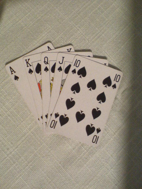 Dette er Zojas fjerde test