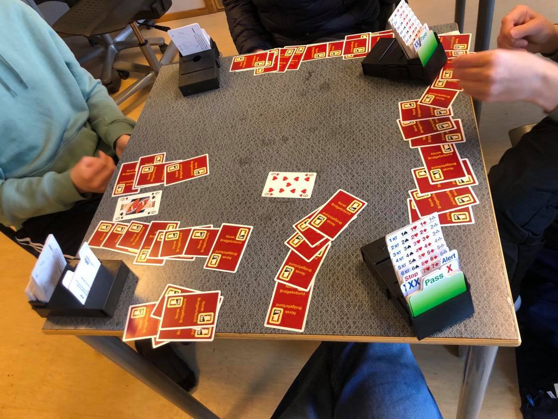 Skolebridge på Hoeggen skole