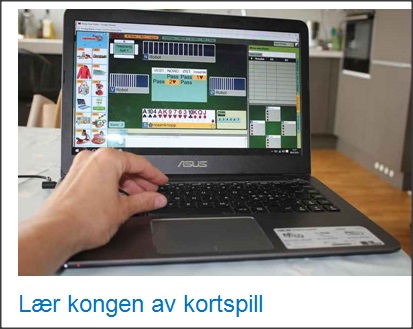 Begynnerkurs på Internett